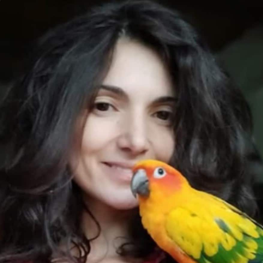 risultati